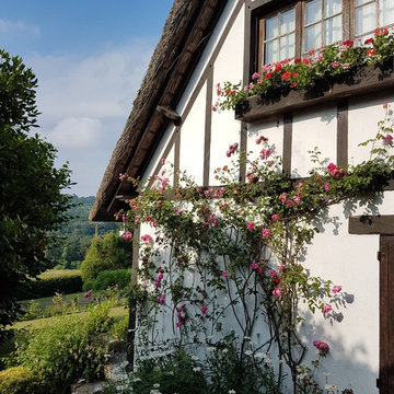 vue sur le mur de la chaumière avec le rosier grimpant