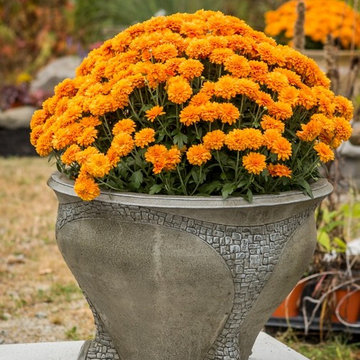 Athena Garden Gallery