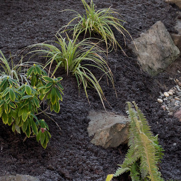 Yamhill Rain Garden