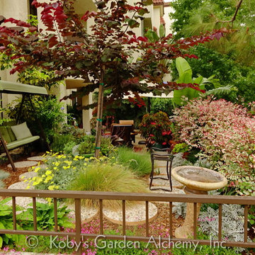 Condo Garden, San Diego, (established)