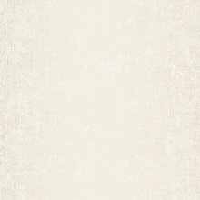 Wall Paper