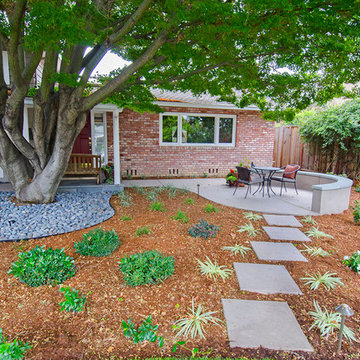 Under The Big Japanese Maple Tree