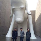 YUSUKE TSUJIMOTO's photo