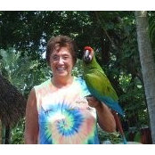 Sharon Ring's photo