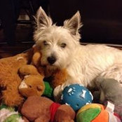 Wendy Corning's photo