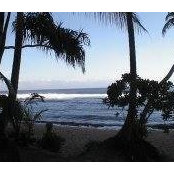 Alan Van Aken's photo