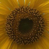 Beth Bo's photo