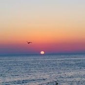 Arlene Crute's photo