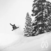 Andrew Davey's photo