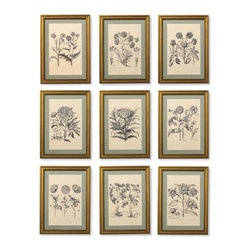 New York Botanical Garden Merian Botanicals - Kunst