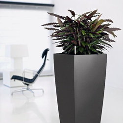 Modern Planter - Products