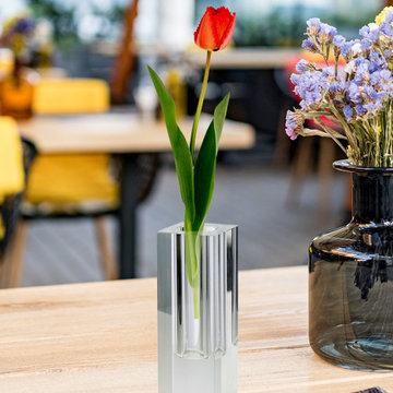 Serene Spaces Living Small Modern Crystal Square Bud Vase, Decorative Single Flo
