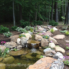 Pond