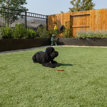 Xeriscape - Artificial turf and raised planters