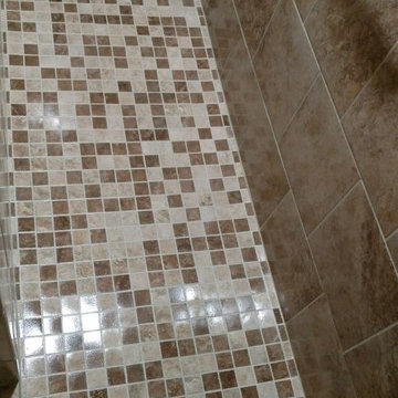 Contemporary Shower