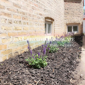 Front Yard Before & After (AFTER)