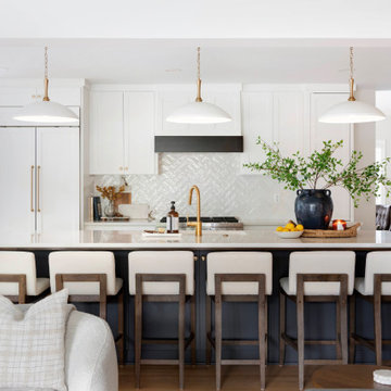 Edina Court - Whole Home Remodel