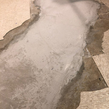 VCT Tile Repair & Replacement