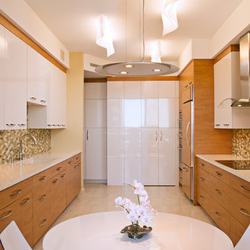 Contemporary Longboat Key Condo Kitchen