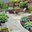 Harmony Design Northwest