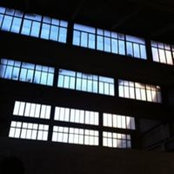 Mathilde Adam's photo