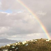 Katie DiGregorio's photo