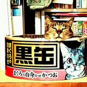 Sanae Sawa's photo