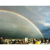 Annie Lee's photo