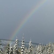 Foto von Nicole Muchowski