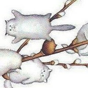 Denise Lipinski-Gibson's photo