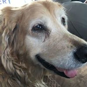Tina Chalmers's photo