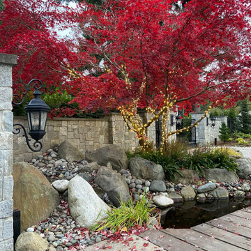 FALL is for COLOR
