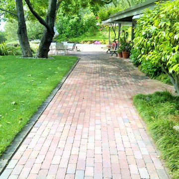 Brick walkway, plants and lawn