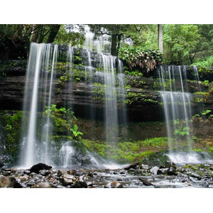 Russell Falls Tasmania By Tom Dempsey Canvas Giclee Wall Art Rustic Prints And Posters By Louis Leonard Art Houzz