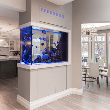 Custom Fish Tank Room Divider