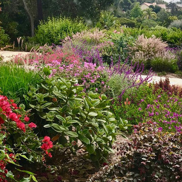 Low Water Colorful Garden