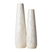 vases