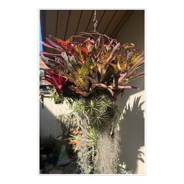 Vertical Gardens