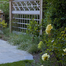 Garden and Trellis