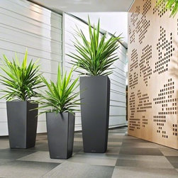 Cubico Alto LECHUZA - Indoor Pots And Planters