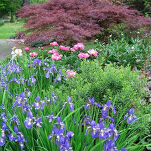 Spring gardens
