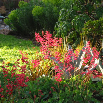 Mid Century Modern