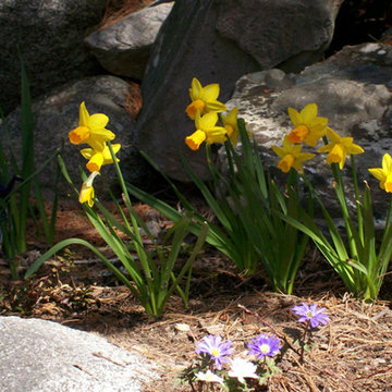 Woodland Gardens