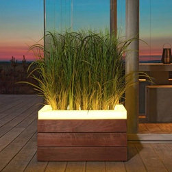 SU LIGHTS - Products