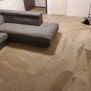Pet Urine Treatment Carpet Cleaning Townhouse Maple Ridge BC Canada