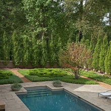 Backyard Landscape