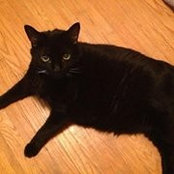 Lorraine Rice's photo