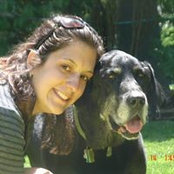 Tina Landis's photo