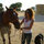 vered_meri
