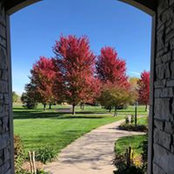 Amy Bergstrom's photo